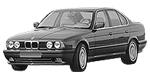 BMW E34 B250F Fault Code